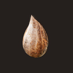 金沙9001w以诚为本手机版中文版下载-轮回金沙9001w以诚为本手机版下载 v0.55 安卓版